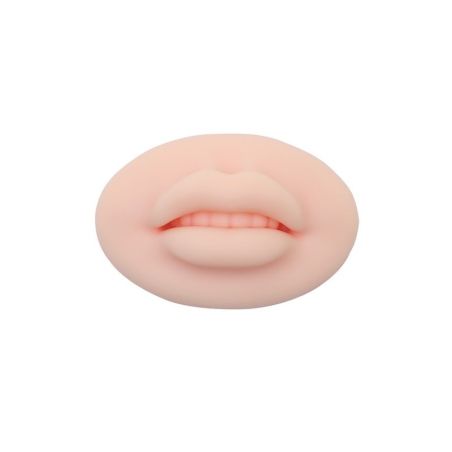 Lèvres d'entraînement 3D