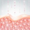 Sérum Vitamine C Éclat - 30ml
