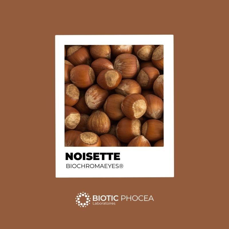 CT25/2 - Hazelnut - BIOCHROMAEYES®