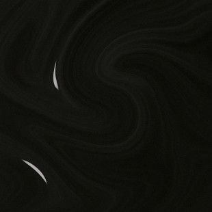 CT05/2 - Ebène - BIOCHROMAEYES®