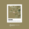 Olive - BIOCHROMAEYES ® Aesthetic