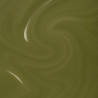 Sage Green - BIOCHROMAEYES ® Aesthetic