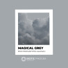 Magical Grey - BIOCHROMAEYES ® Aesthetic