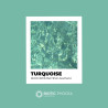 Turquoise - BIOCHROMAEYES ® Aesthetic