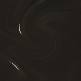 Anthracite - BIOCHROMAEYES®