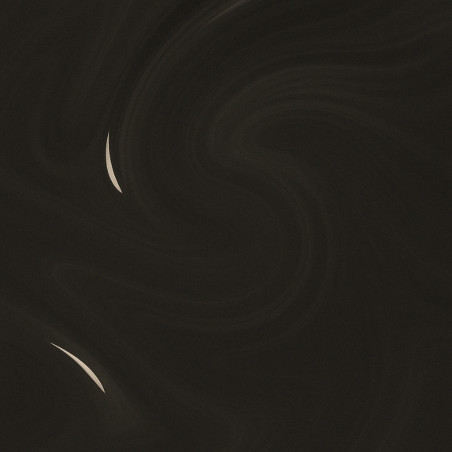 Anthracite - BIOCHROMAEYES®