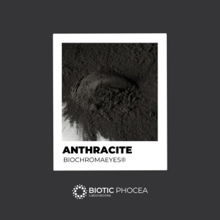 Anthracite - BIOCHROMAEYES®