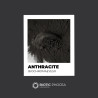 Anthracite - BIOCHROMAEYES®