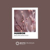 Marron - BIOCHROMAEYES®