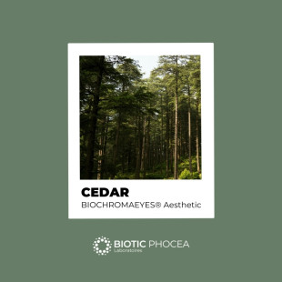 Cedar - BIOCHROMAEYES® Aesthetic