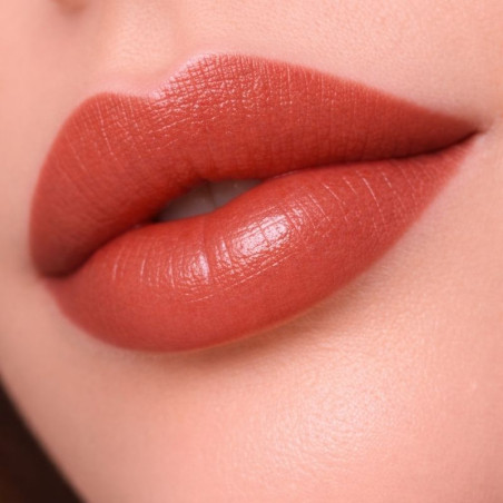 LP58 Pigment  - Terracotta...