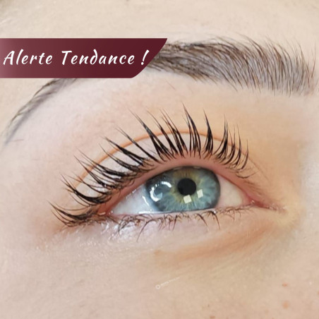 Korean lash lift - ( 1 jour...